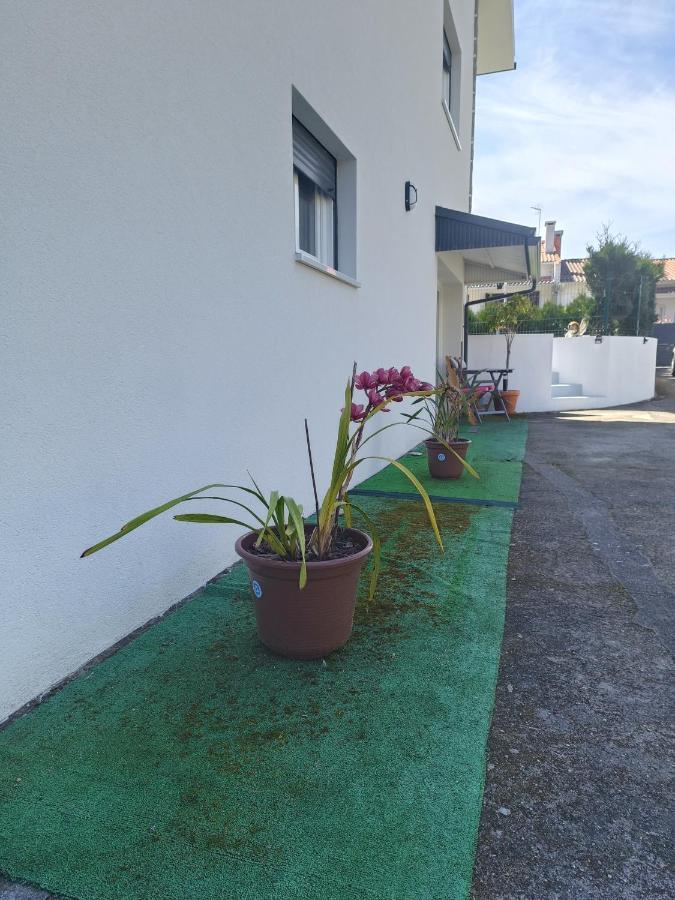 Cabedelo Seaside Guesthouse Виана до Кастело Екстериор снимка